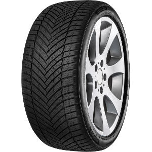 MINERVA AS MASTER 225/45R17 91W