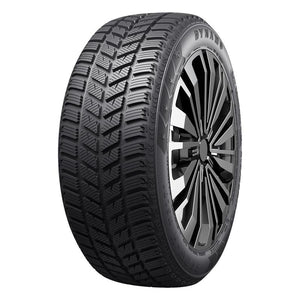 DYNAMO SNOW-H MSL01 195/55R16 91T