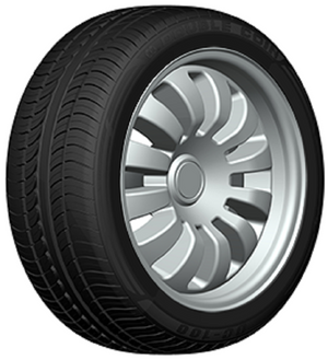 DOUBLE COIN DC100 225/40R18 92Y
