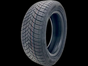 OTANI WE1000 215/60R16 99H