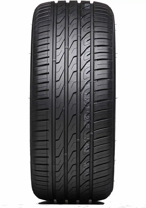 AUTOGREEN SUPERSPORTCHASER-SSC5 205/55R17 95W